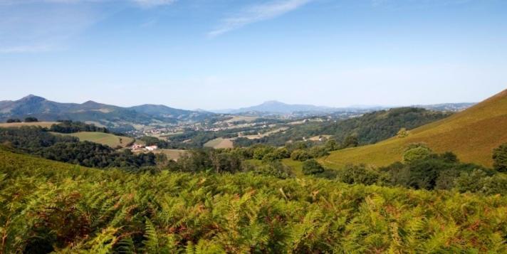 ホテルLe Domaine Du Levant カンボ・レ・バン エクステリア 写真